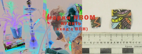 прущий лед Пересвет