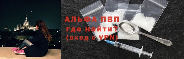 прущий лед Пересвет