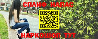 прущие грибы Заволжье