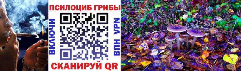 площадка формула  где купить наркоту  Кизилюрт  Псилоцибиновые грибы Psilocybine cubensis 