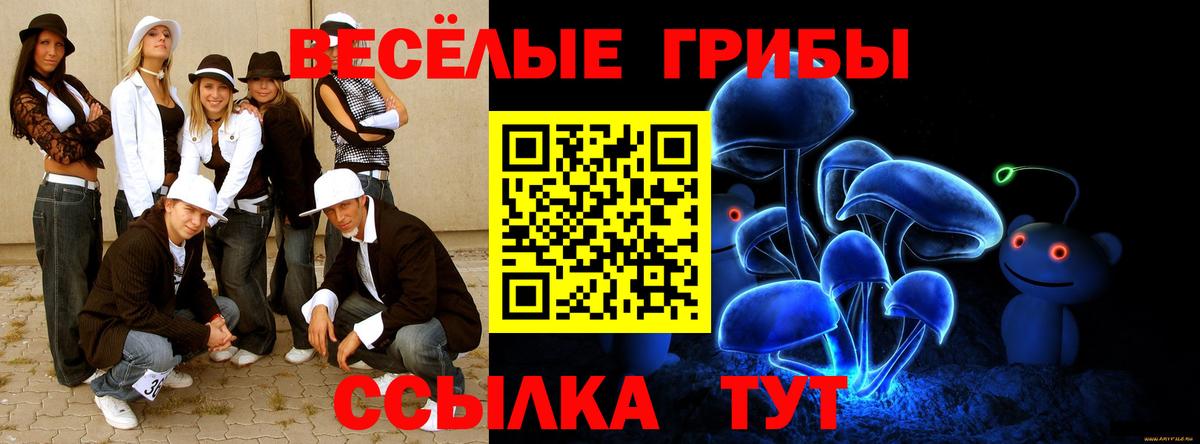 Псилоцибиновые грибы мухоморы  Вход с VPN  где найти наркотики  Кизилюрт  Галлюциногенные грибы Magic Shrooms 