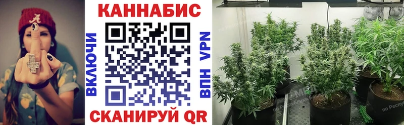 Конопля планчик Кизилюрт